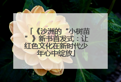 《沙洲的“小树苗”》新书首发式：让红色文化在新时代少年心中绽放