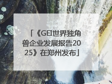 《GEI世界独角兽企业发展报告2025》在郑州发布