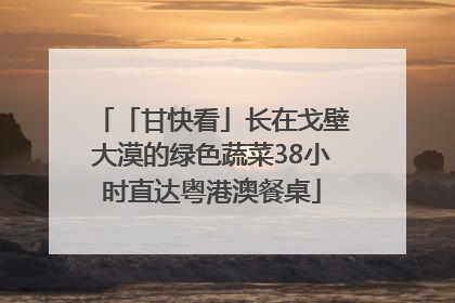 「甘快看」长在戈壁大漠的绿色蔬菜38小时直达粤港澳餐桌