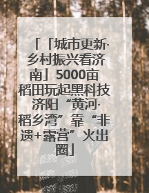 「城市更新· 乡村振兴看济南」5000亩稻田玩起黑科技 济阳“黄河·稻乡湾”靠“非遗+露营”火出圈