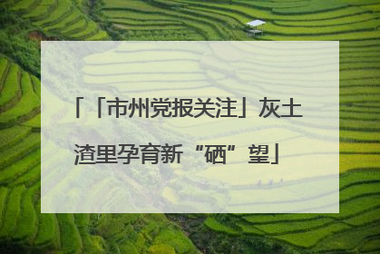 「市州党报关注」灰土渣里孕育新“硒”望