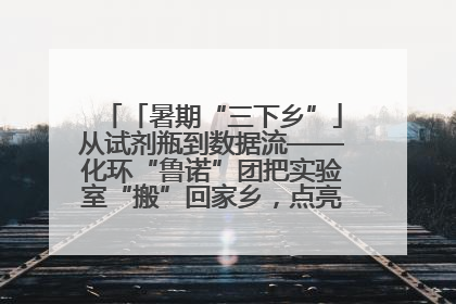 「暑期“三下乡”」从试剂瓶到数据流——化环“鲁诺”团把实验室“搬”回家乡，点亮桑梓求知路