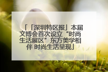 「深圳特区报」本届文博会首次设立“时尚生活展区”东方美学相伴 时尚生活呈现