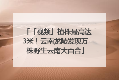 「视频」植株最高达3米！云南龙陵发现万株野生云南大百合
