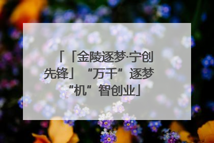 「金陵逐梦·宁创先锋」“万千”逐梦 “机”智创业