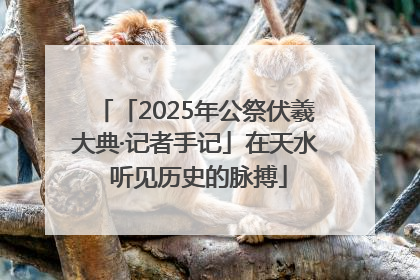 「2025年公祭伏羲大典·记者手记」在天水 听见历史的脉搏