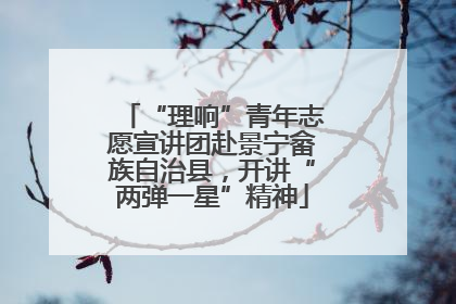 “理响”青年志愿宣讲团赴景宁畲族自治县，开讲“两弹一星”精神