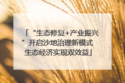 “生态修复+产业振兴”开启沙地治理新模式 生态经济实现双效益