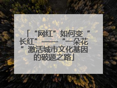 “网红”如何变“长红”——“一朵花”激活城市文化基因的破题之路