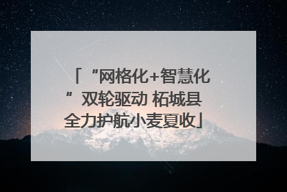 “网格化+智慧化”双轮驱动 柘城县全力护航小麦夏收