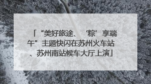 “美好旅途、‘粽’享端午”主题快闪在苏州火车站、苏州南站候车大厅上演