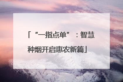 “一指点单”：智慧种烟开启惠农新篇