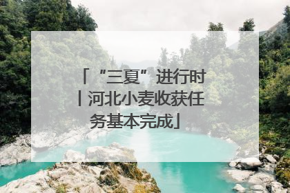 “三夏”进行时丨河北小麦收获任务基本完成