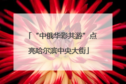 “中俄华彩共游”点亮哈尔滨中央大街