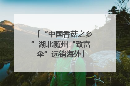 “中国香菇之乡”湖北随州“致富伞”远销海外