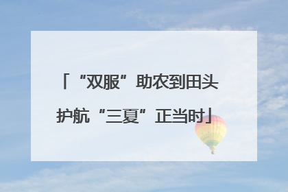 “双服”助农到田头 护航“三夏”正当时