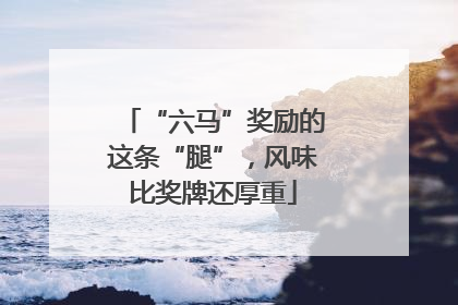 “六马”奖励的这条“腿”，风味比奖牌还厚重