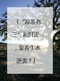 “凉茶老三”和其正，靠养生水逆袭？