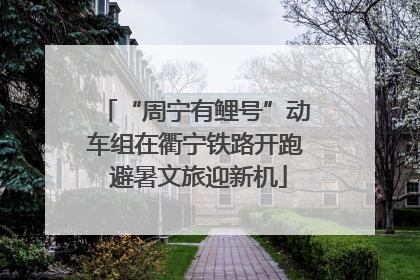 “周宁有鲤号”动车组在衢宁铁路开跑 避暑文旅迎新机