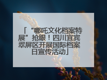 “哪吒文化档案特展”抢眼！四川宜宾翠屏区开展国际档案日宣传活动