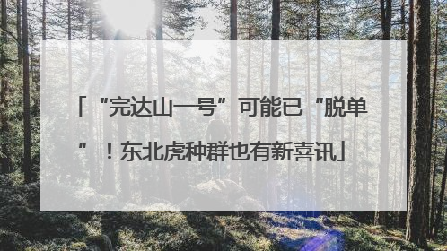 “完达山一号”可能已“脱单”！东北虎种群也有新喜讯