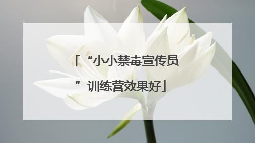 “小小禁毒宣传员”训练营效果好