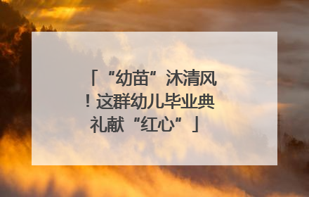 “幼苗”沐清风！这群幼儿毕业典礼献“红心”