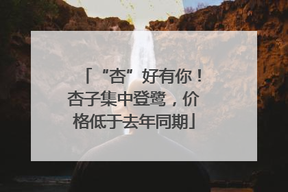 “杏”好有你！杏子集中登鹭，价格低于去年同期