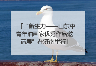 “新生力——山东中青年油画家优秀作品邀请展”在济南举行
