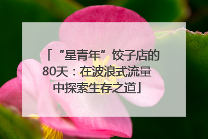 “星青年”饺子店的80天：在波浪式流量中探索生存之道