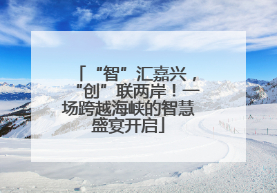 “智”汇嘉兴，“创”联两岸！一场跨越海峡的智慧盛宴开启