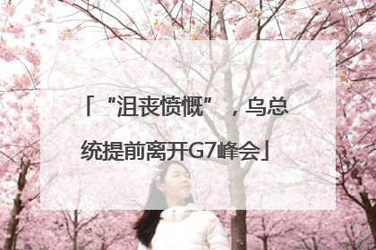 “沮丧愤慨”，乌总统提前离开G7峰会
