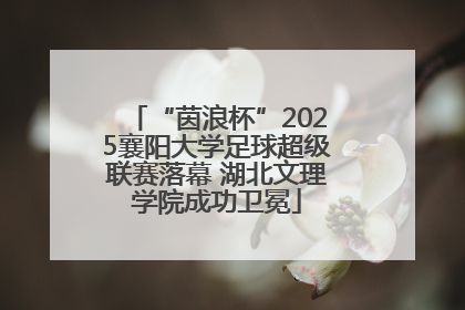 “茵浪杯”2025襄阳大学足球超级联赛落幕 湖北文理学院成功卫冕
