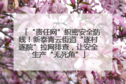 “责任网”织密安全防线！新泰青云街道“逐村逐院”拉网排查，让安全生产“无死角”