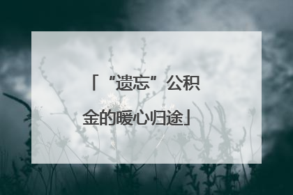 “遗忘”公积金的暖心归途