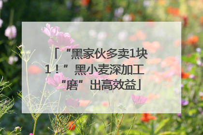 “黑家伙多卖1块1！”黑小麦深加工“磨”出高效益