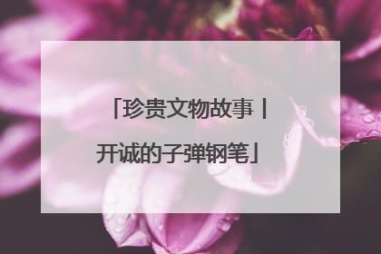 珍贵文物故事丨开诚的子弹钢笔