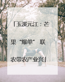 玉溪元江：芒果“爆单” 联农带农产业兴