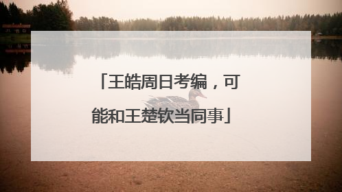 王皓周日考编，可能和王楚钦当同事