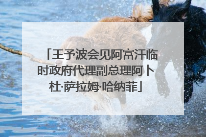 王予波会见阿富汗临时政府代理副总理阿卜杜·萨拉姆·哈纳菲