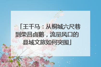 王千马：从桐城六尺巷到荣昌卤鹅，流量风口的县域文旅如何突围