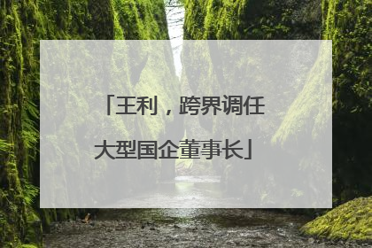 王利，跨界调任大型国企董事长