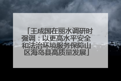 王成国在丽水调研时强调：以更高水平安全和法治环境服务保障山区海岛县高质量发展