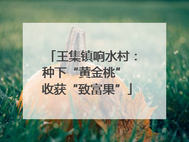 王集镇响水村：种下“黄金桃” 收获“致富果”