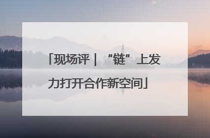 现场评｜“链”上发力打开合作新空间