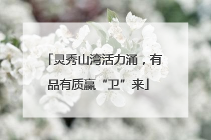 灵秀山湾活力涌，有品有质赢“卫”来