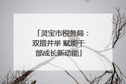 灵宝市税务局：双措并举 赋能干部成长新动能