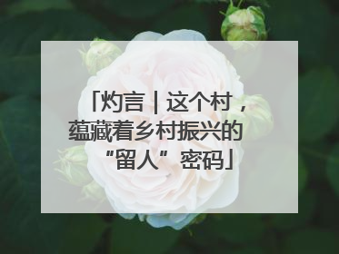 灼言｜这个村，蕴藏着乡村振兴的“留人”密码