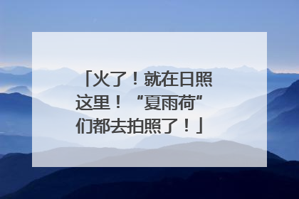 火了！就在日照这里！“夏雨荷”们都去拍照了！