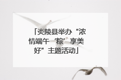 炎陵县举办“浓情端午‘粽’享美好”主题活动